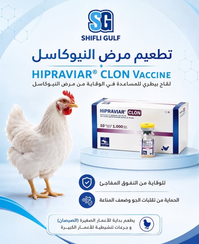 لقاح هيبرفايار كلون - تحصين وتطعيم بيطري ضد مرض النيوكاسل